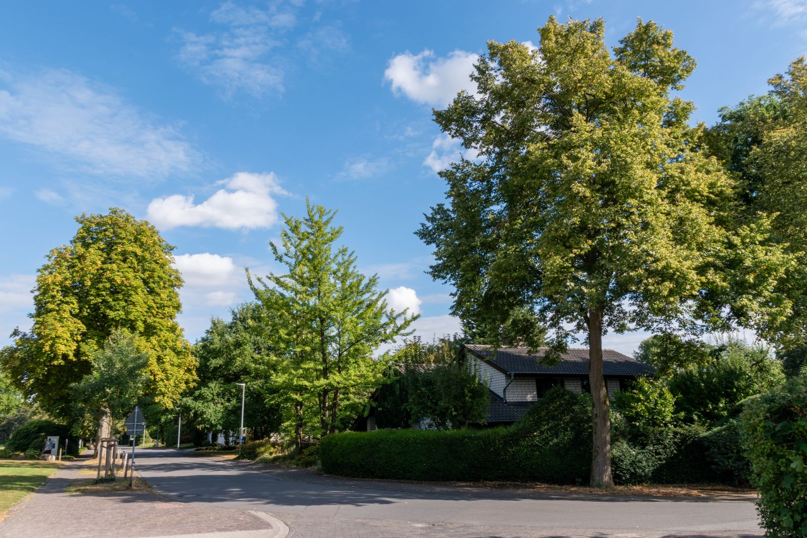 Sammamish neighbourhood